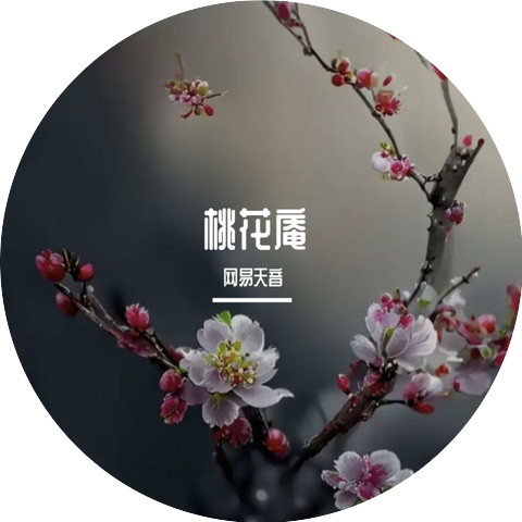 网易天音