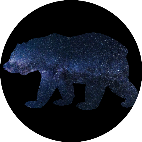 Midnight Bear