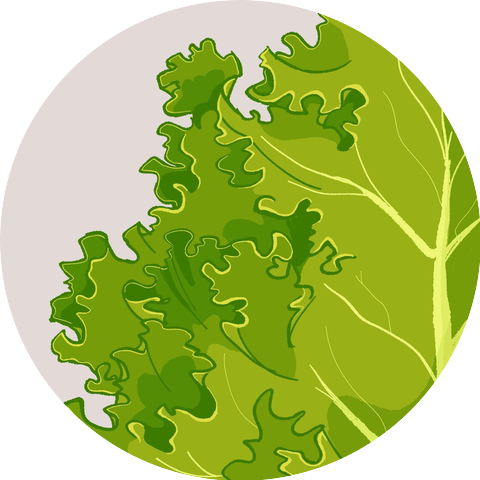 Kale Chen