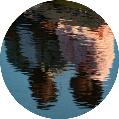 Neicey Mo & Chris Ray's Music