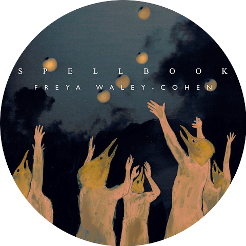 Freya Waley-Cohen
