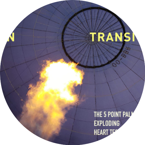 The 5 point palm exploding heart technique