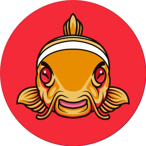 Nemo Sum