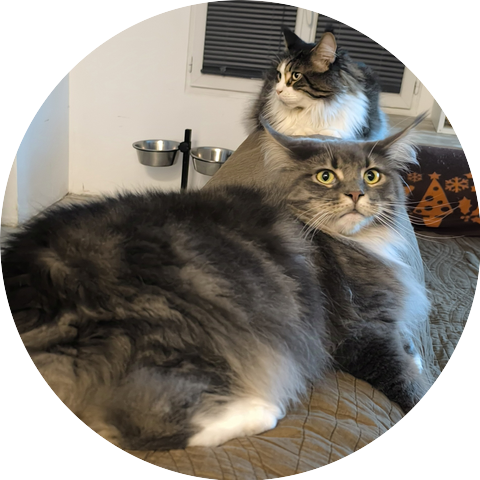 Titi l'amour des animaux