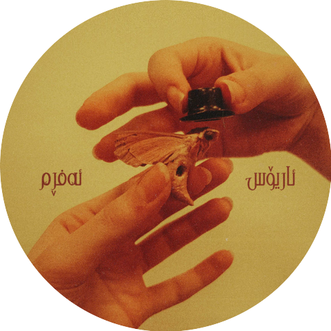 Arios Hawary