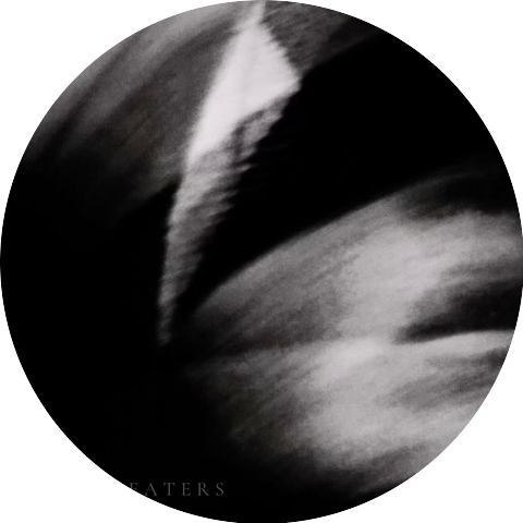 Into The Vein