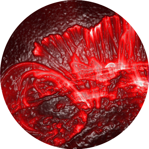 Sindicate
