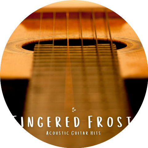 Acoustic Guitar Hits