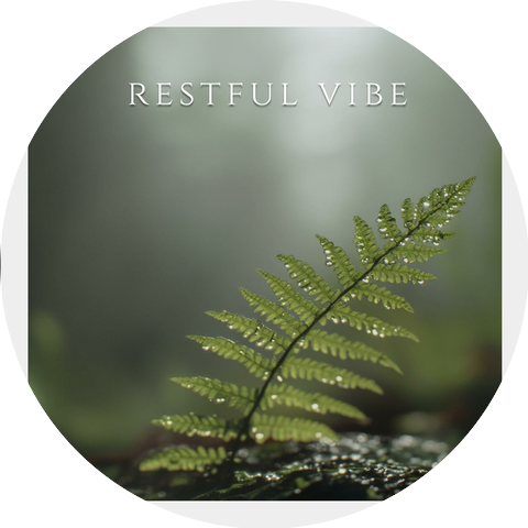 Looped Fan Noise Sleep
