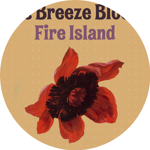The Breeze Blocks