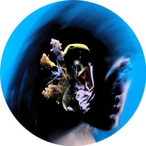 HOMALS & Goodknight.