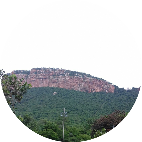 R Gnanasekaran