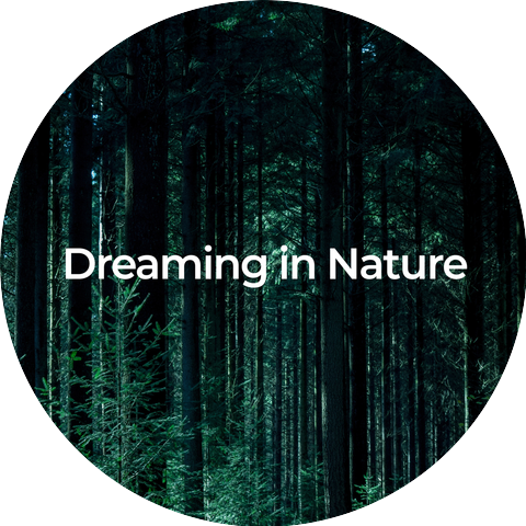 Essential Nature Sounds, Lively Nature Sounds, Natural Rain