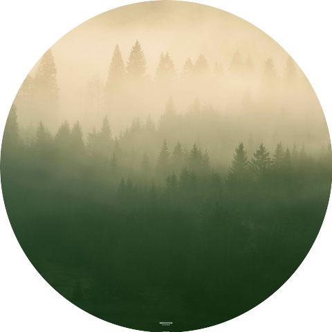 Meditation
