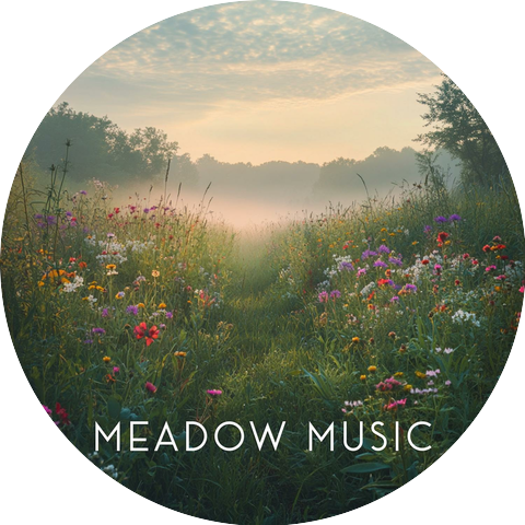 Mystic Meadow Music