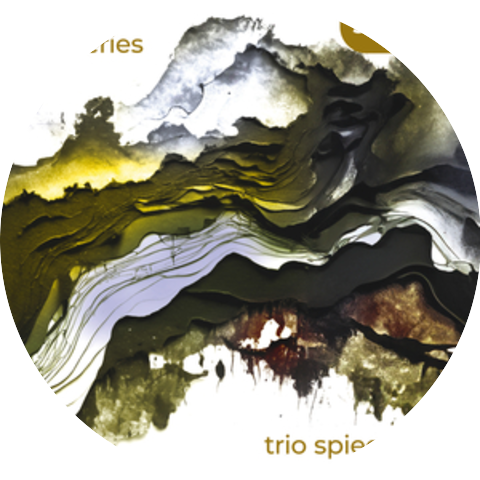 Trio Spiegelbild