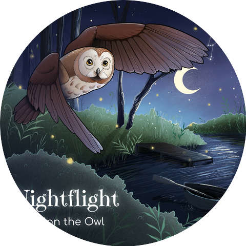 Orion The Owl