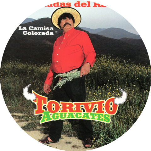 Torivio Aguacates