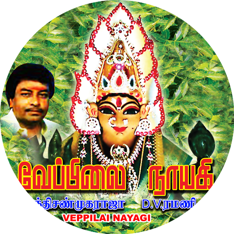 D.V. Ramani