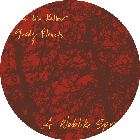 Anne Liu Kellor & Shady Planets