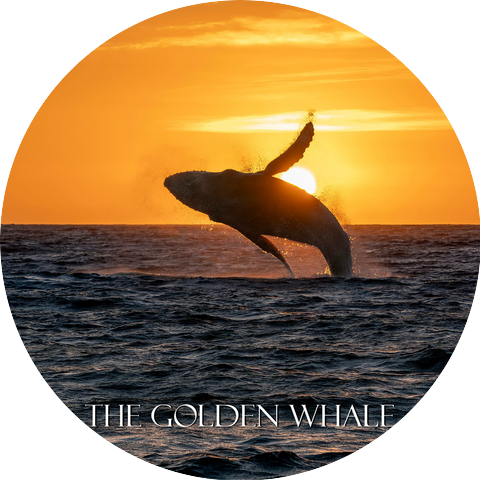 Whale Trapper