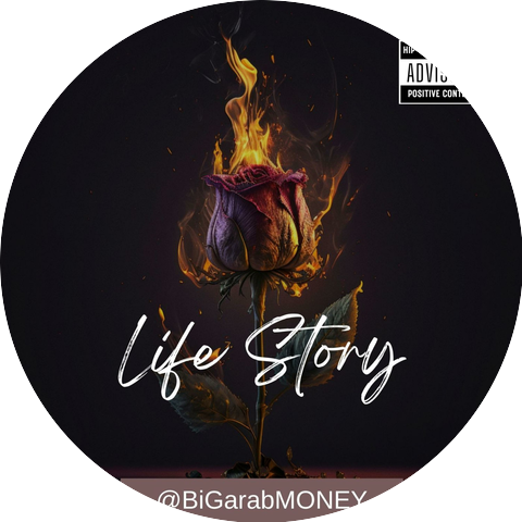 BiGarabMONEY