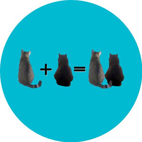 Cat Insurance