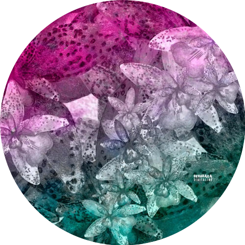 Digitaline