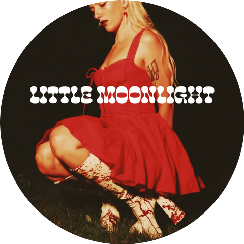 Little Moonlight