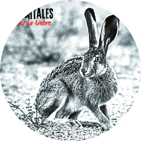 Laws La Liebre