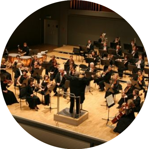 St. Petersburg State Symphonic Orchestra