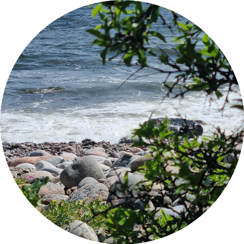 Team Originally made