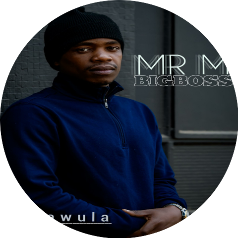 MR M BIGBOSS