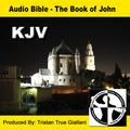 Audio Bible The Book of Luke