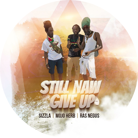 MOJO HERB SIZZLA RAS NEGUS