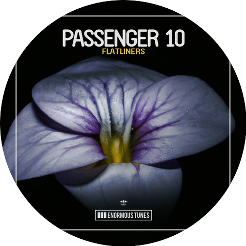 Passenger 10