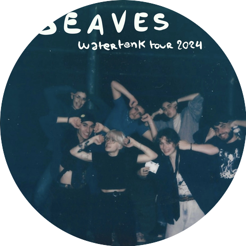 SEAVES