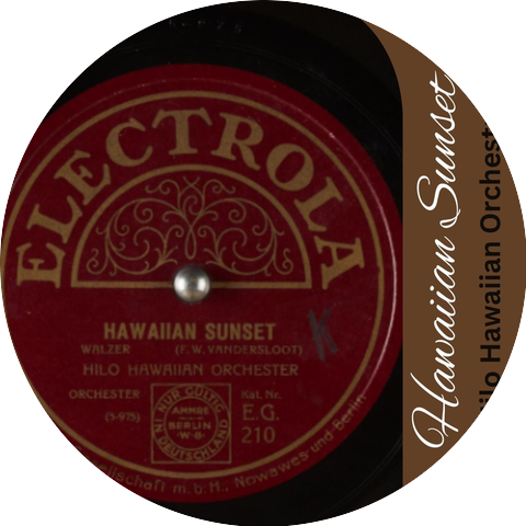 Hilo Hawaiian Orchestra