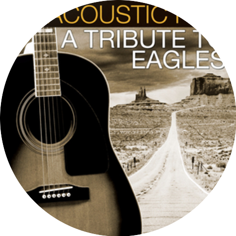 Acoustic Hits