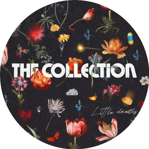 David Wimbish & The Collection