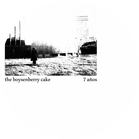 The Boysenberry Cake