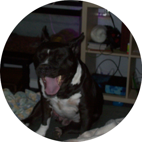 sorry my mom said no