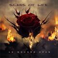 Scars of Life