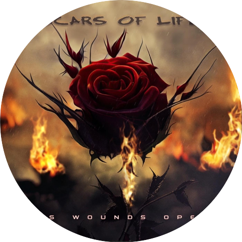 Scars of Life