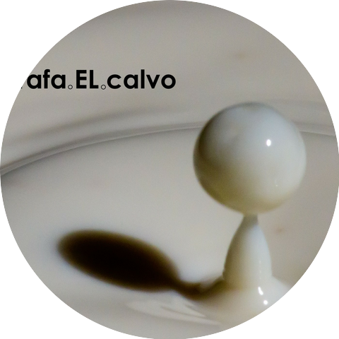 rafaELcalvo