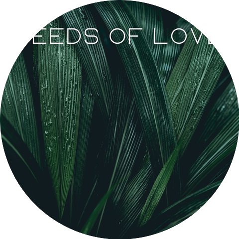 Music for Plants, Plant Love
