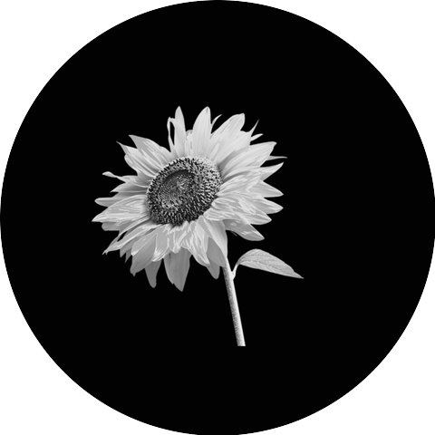Binbit