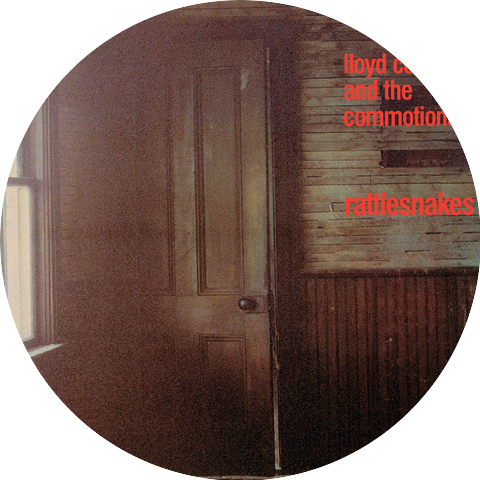 Lloyd Cole & The Commotions