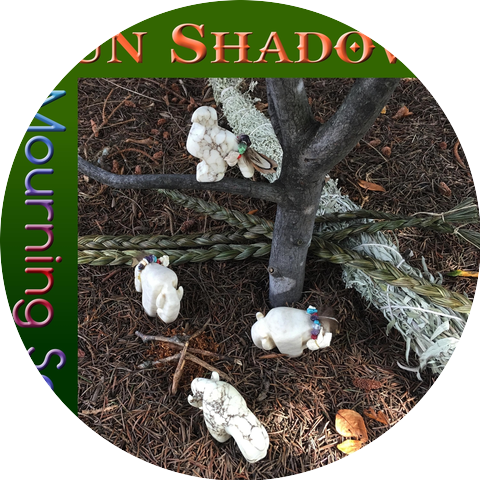 Sun Shadows