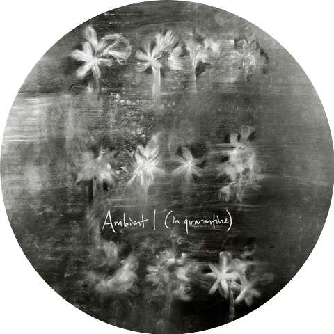 The Lighthouse Keeper